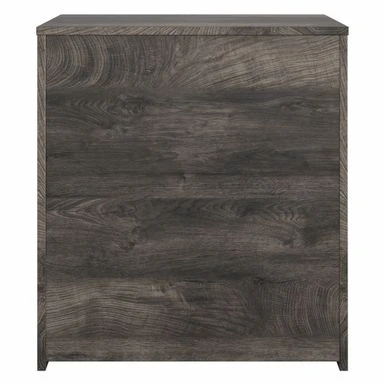 City Park 2 Drawer Lateral File Cabinet By Kathy Ireland Home - Dark Gray Hickory 21 City Park 2 Drawer Lateral File Cabinet By Kathy Ireland Home - Dark Gray Hickory - Image 19