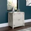 Cottage Grove 2 Drawer Lateral File Cabinet By Bush Furniture - Cottage White