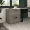 City Park 2 Drawer Lateral File Cabinet By Kathy Ireland Home - Driftwood Gray -Kathy Ireland f17d4ebe 81bf 4f2c 910c 7b738c7a5978
