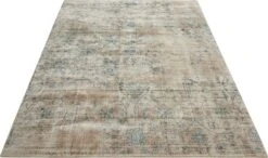 DSK06 Rug -Kathy Ireland md 351