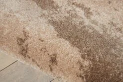 KI243 Rug -Kathy Ireland md 419