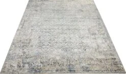 DSK04 Rug -Kathy Ireland md 47